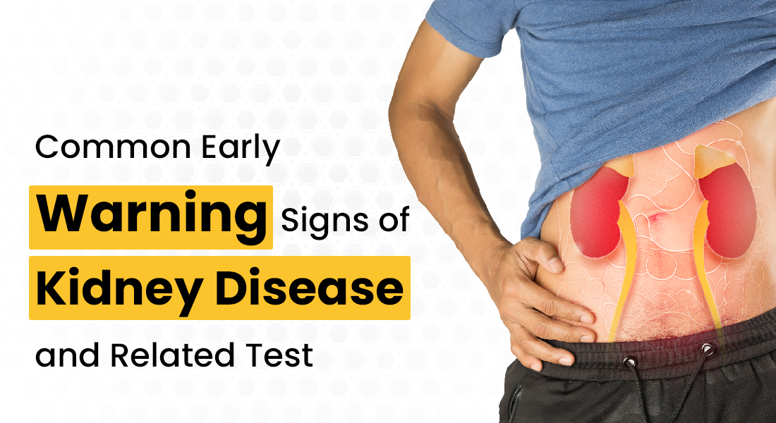 What Are The Type of kidney disease its symptoms and diagnostic tests