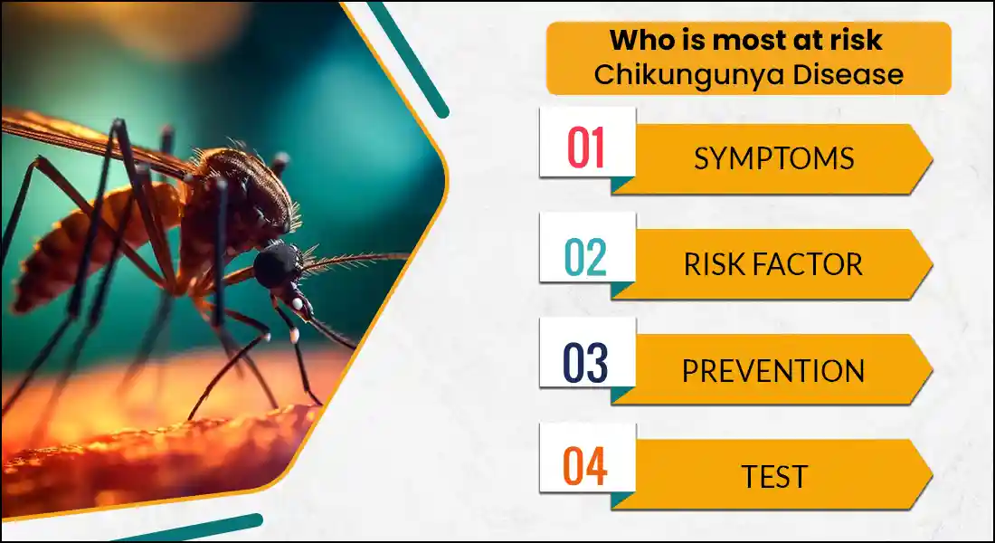 what is chikungunya disease Cause, Sypmptoms? How ro Treat And Diagnostic it
