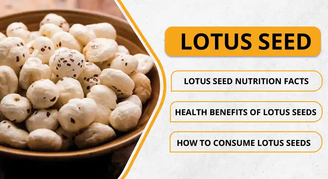 Amazing Facts About Lotus Seeds