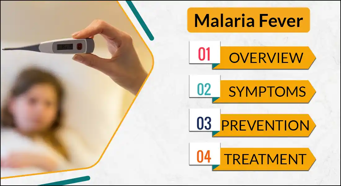 Common symptoms of Malaria fever and tests